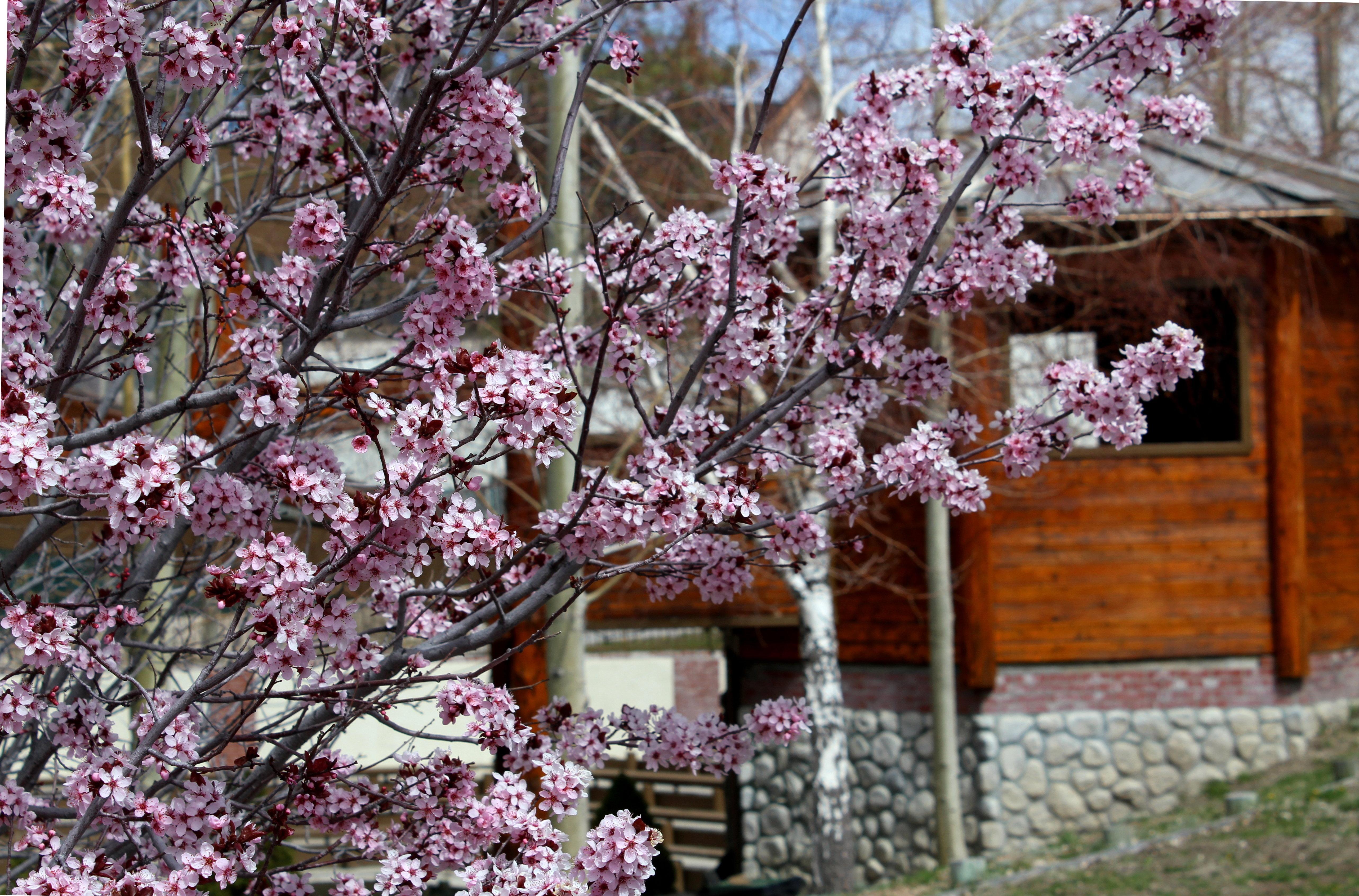 Holiday Inn Resort The Lodge At Big Bear Lake By Ihg Exterior photo
